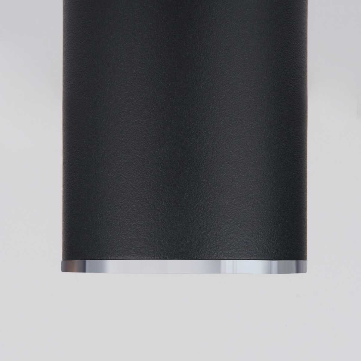 Потолочный светильник Elektrostandard DLN101 GU10 BK черный a043971 1