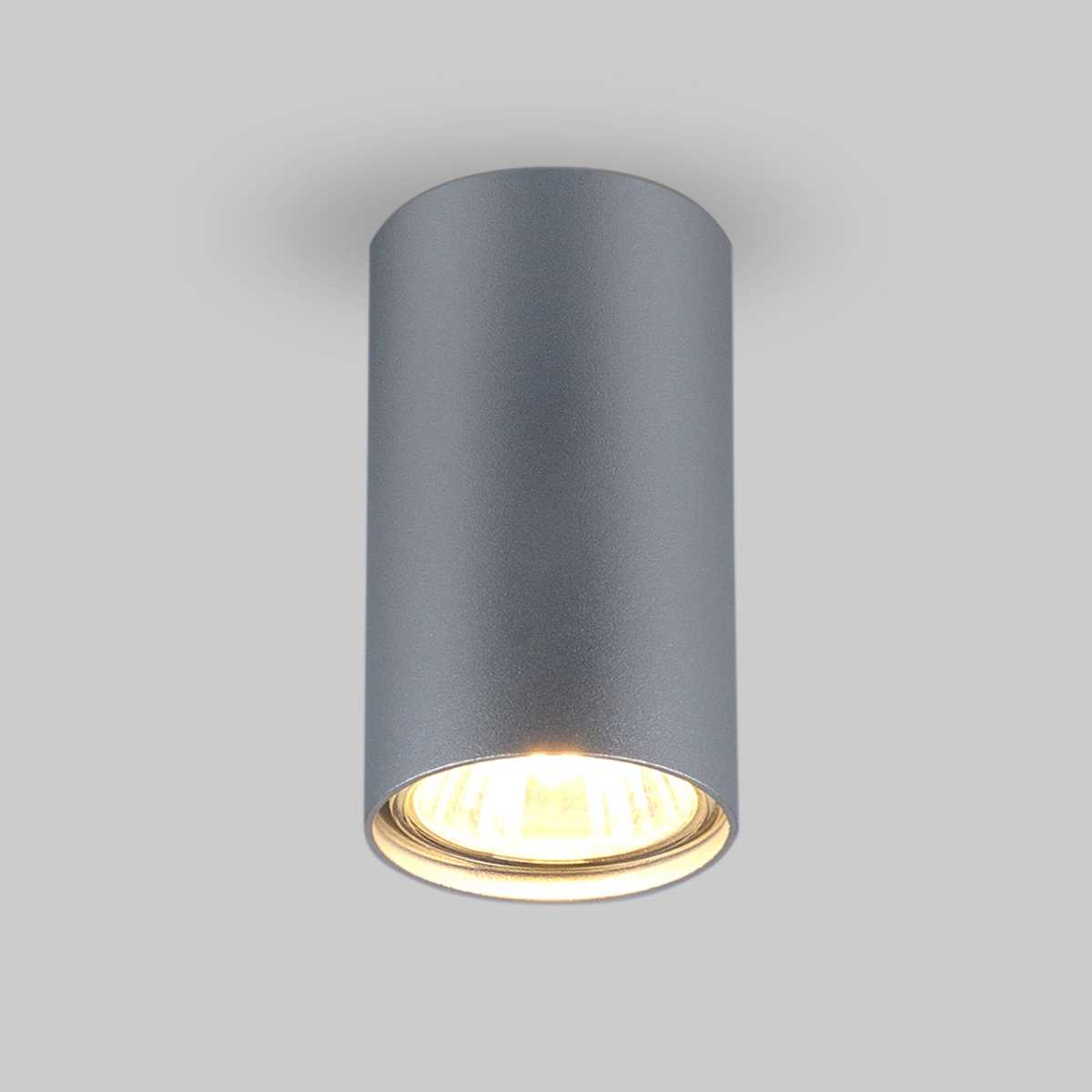 Потолочный светильник Elektrostandard 1081 5257 GU10 SL серебро a037714