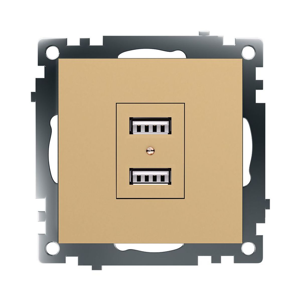 Розетка 2хUSB Stekker Катрин золото GLS10-7115-08 49229 1