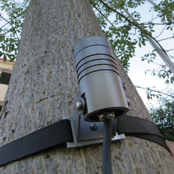 Крепление Arlight ALT-Belt-1-2000 032550 изображение 3 Крепление Arlight ALT-Belt-1-2000 032550 Фото № 3