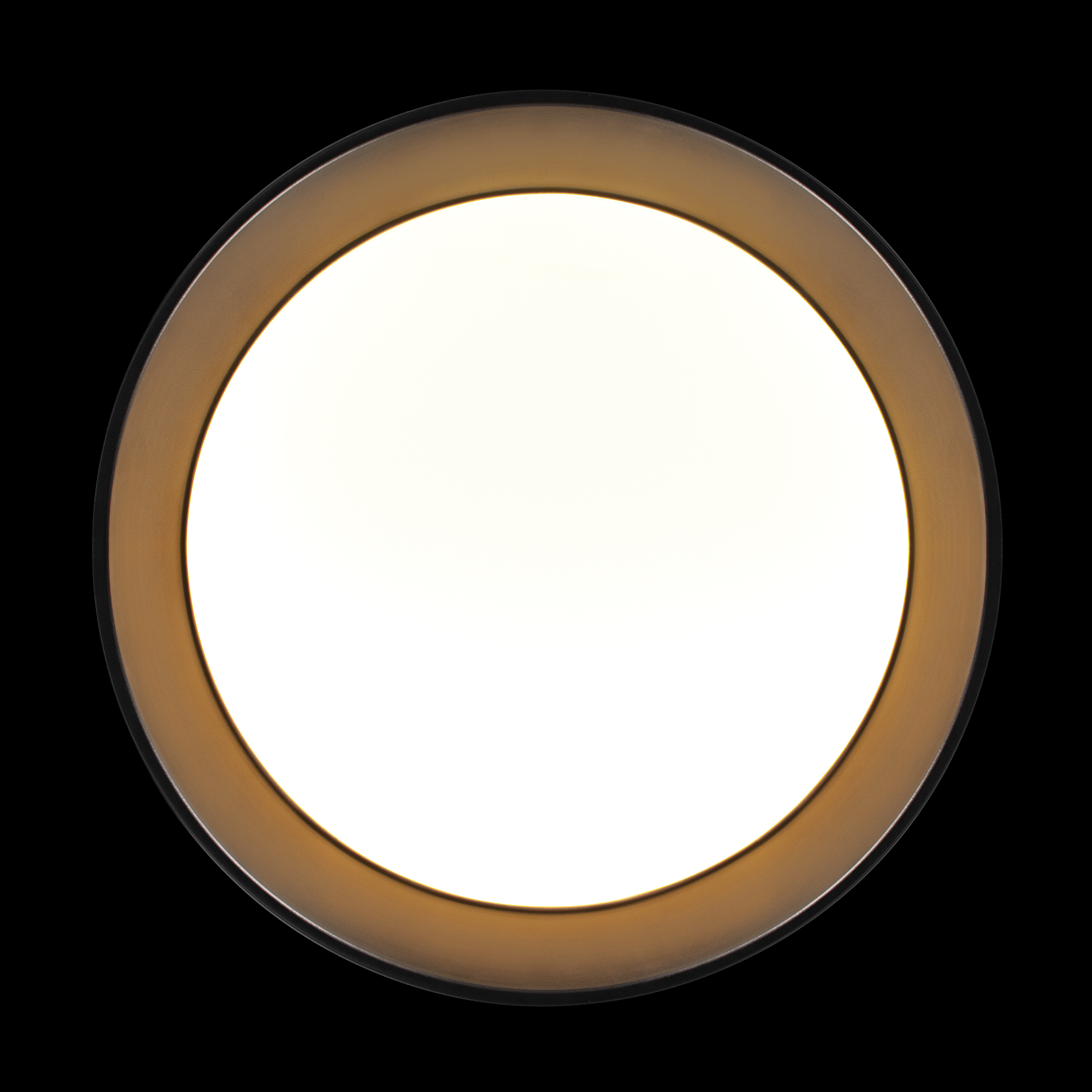 Потолочный светильник Loft it Coin 10202 BB 3