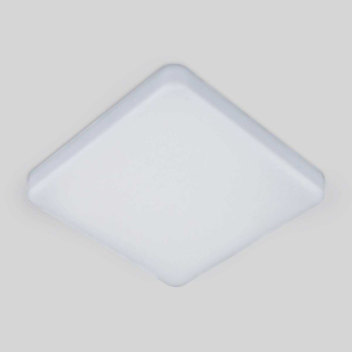 Потолочный светодиодный светильник Elektrostandard DLS043 10W 4200K a047941 1