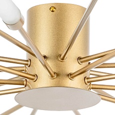 Потолочная люстра Lightstar Ragno 732203 3