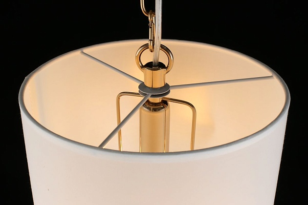 Подвесной светильник Aployt Franula APL.724.06.01 Фото № 7