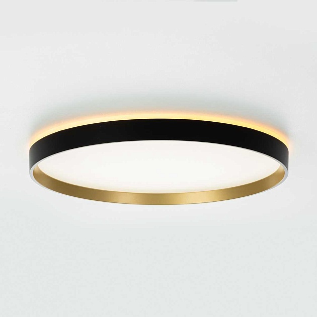 Потолочный светильник Citilux ETALON CL750401R Фото № 23