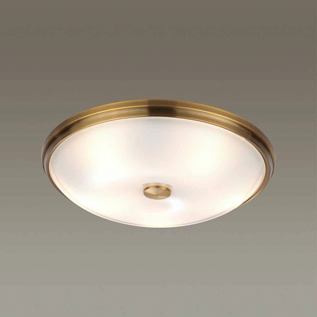 Потолочный светильник Odeon Light Walli Pelow 4956/5 изображение 3 Потолочный светильник Odeon Light Walli Pelow 4956/5 Фото № 3