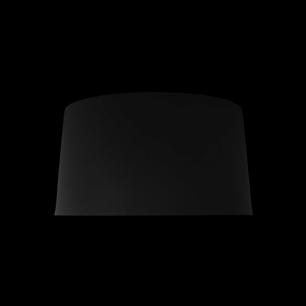 Потолочный светодиодный светильник Loft IT Duo 10360S Black изображение 2 Потолочный светодиодный светильник Loft IT Duo 10360S Black Фото № 2