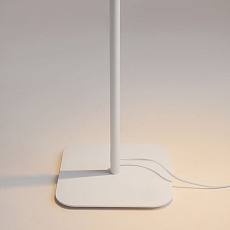 Торшер Maytoni Farel Z001FL-L3W-1W 2