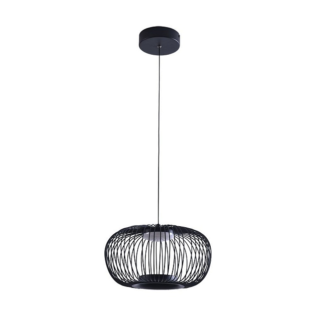 Подвесной светодиодный светильник Arte Lamp Flare A3527SP-12BK Фото № 1