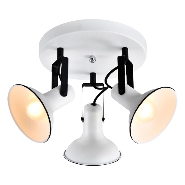 Спот Lussole Loft Fargo LSP-8803 Фото № 1