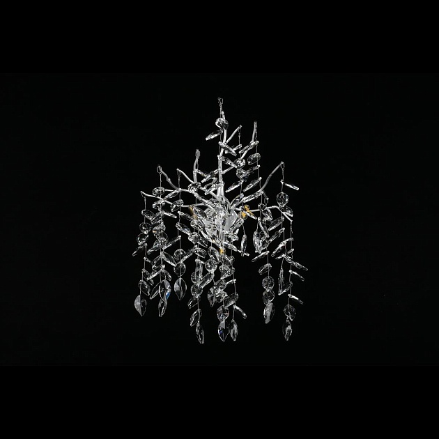 Настенный светильник Aployt Gertunia APL.847.11.03 Фото № 4