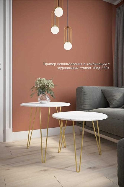 Журнальный стол Мебелик Рид Голд 430 006693 изображение 4 Журнальный стол Мебелик Рид Голд 430 006693 Фото № 4