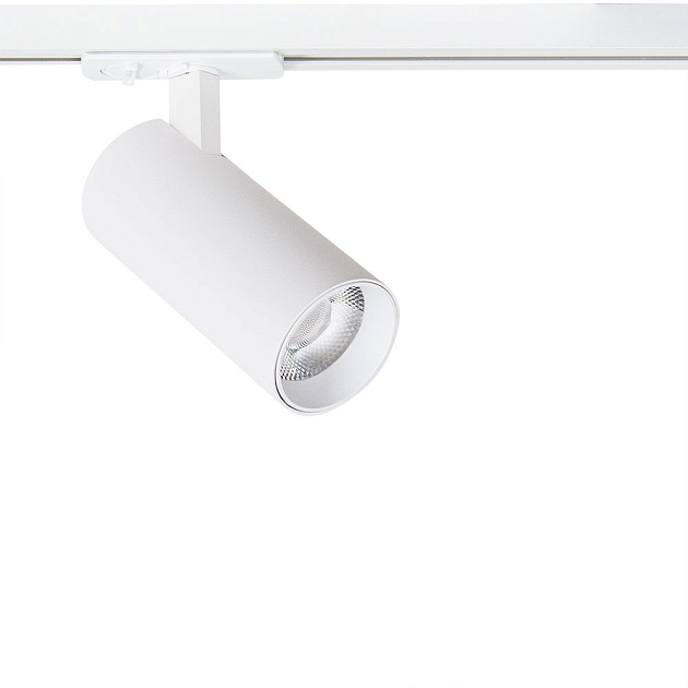 Трековый светильник Arte Lamp BENE A1946PL-1WH Фото № 1