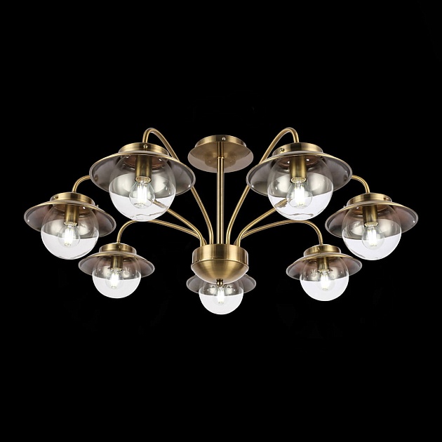 Потолочная люстра Evoluce Garonni SLE110102-07 Фото № 6