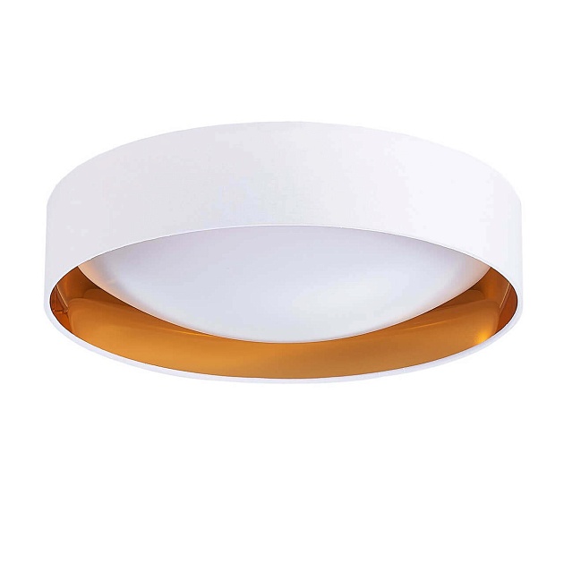 Потолочный светодиодный светильник Evoluce Orbio SLE201122-01 Фото № 1