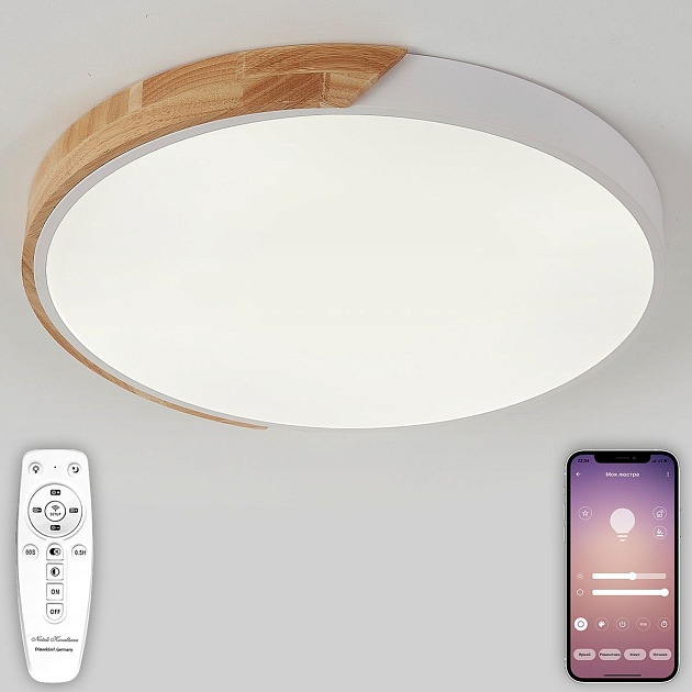 Потолочная люстра Natali Kovaltseva SCANDINAVIAN LED LAMPS 81182 Фото № 1