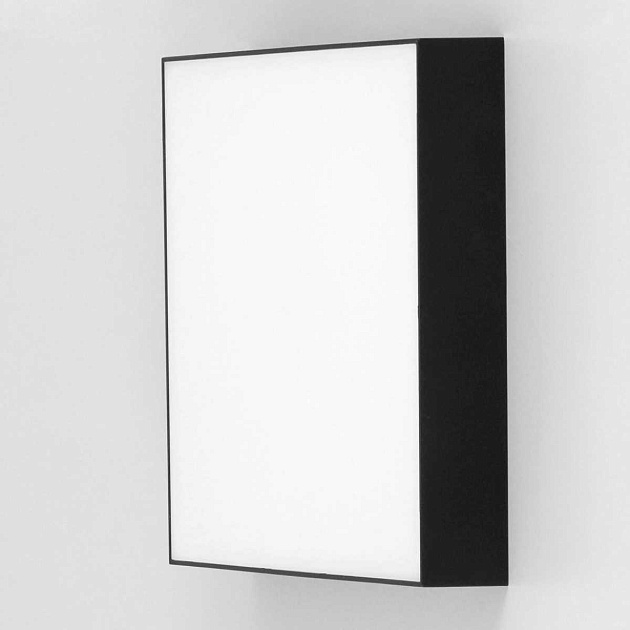 Накладной светодиодный светильник Citilux Тао CL712X242N Фото № 7