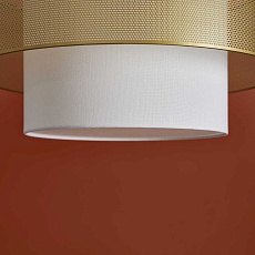 Подвесной светильник Freya Modern FR5528PL-01BS 5