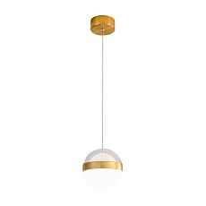Подвесной светильник Odeon Light RONI 5036/12L 1