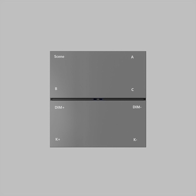 Панель управления Denkirs Control BT DK7201-DG Фото № 1