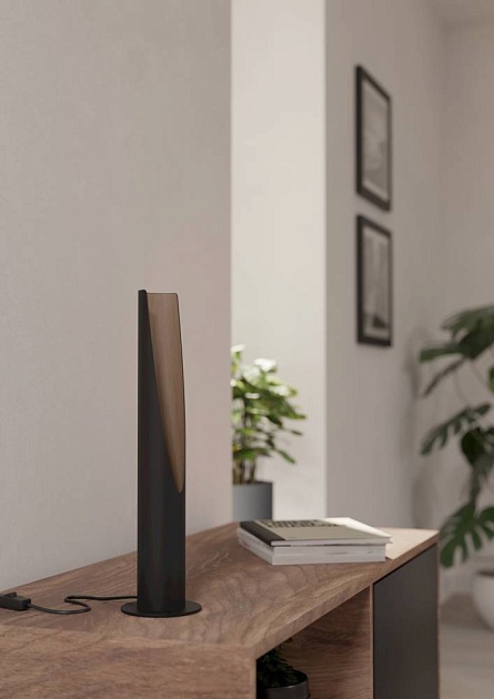 Настольная лампа Eglo Barbotto 901734 Фото № 3