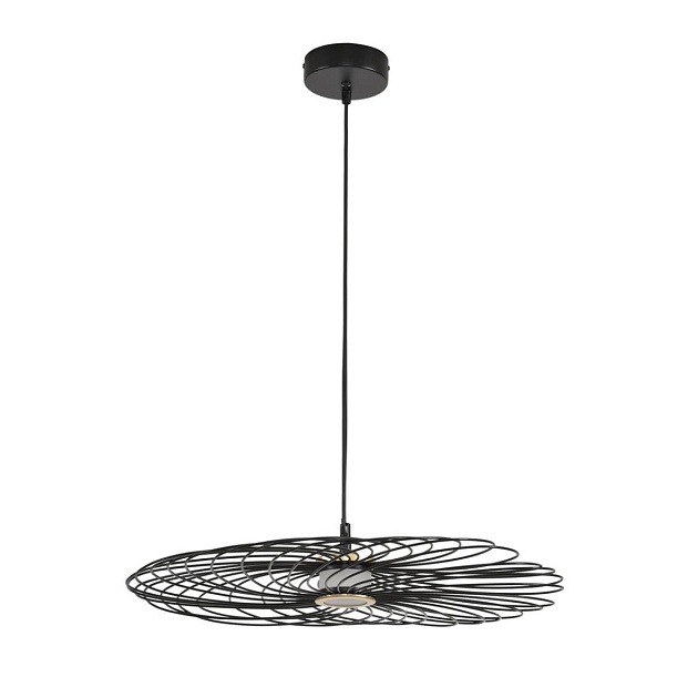 Подвес Lumion CAMOMILE 8379/10L изображение 2 Подвес Lumion CAMOMILE 8379/10L Фото № 2
