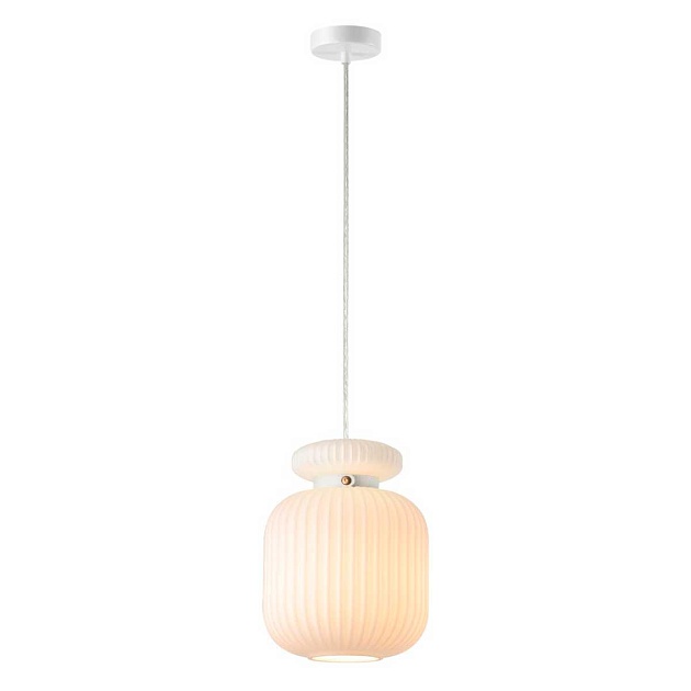Подвесной светильник Odeon Light JUGI 5042/1C Фото № 2