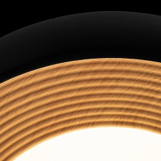 Потолочный светильник Loft IT Folk 10255/350 Black 2