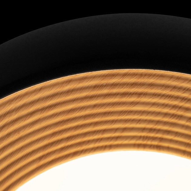 Потолочный светильник Loft IT Folk 10255/350 Black Фото № 3