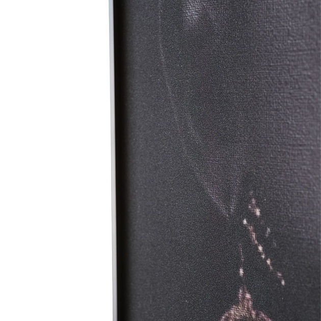 Картина Lumina Deco FP African Gold 50-70 изображение 4 Картина Lumina Deco FP African Gold 50-70 Фото № 4