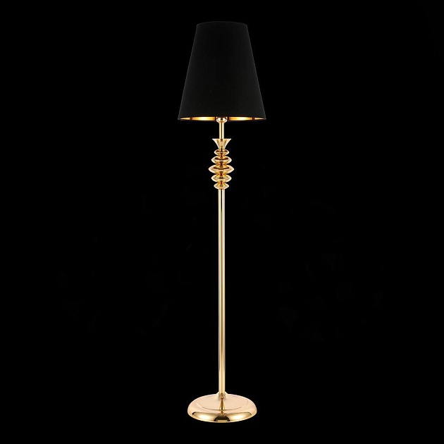 Торшер Evoluce Rionfo SL1137.205.01 изображение 6 Торшер Evoluce Rionfo SL1137.205.01 Фото № 6