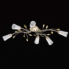 Потолочная люстра MW-Light Восторг 242015306 5