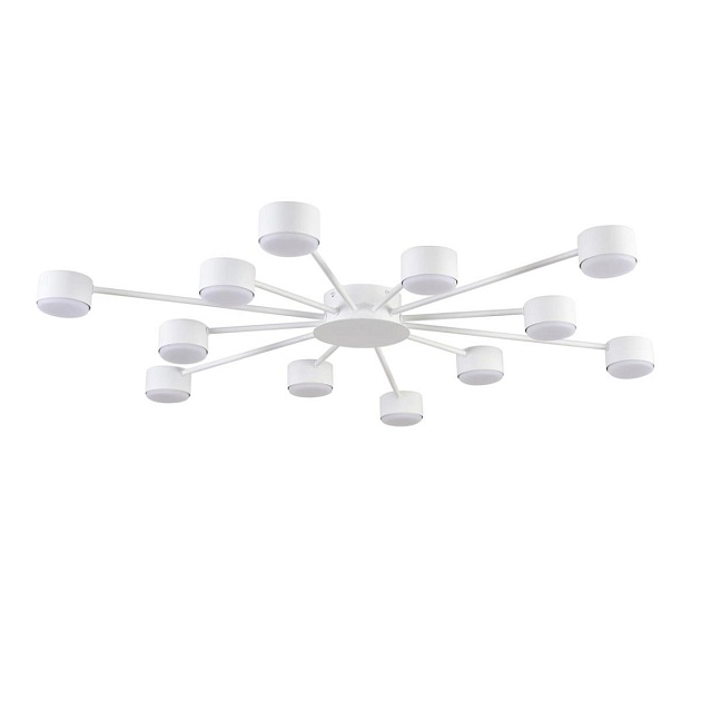 Люстра Lumion COMFI 8343/12C изображение 1 Люстра Lumion COMFI 8343/12C Фото № 1