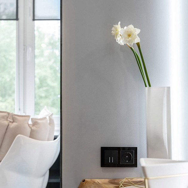 Розетка с заземлением Werkel черный матовый W1171008 4690389156878 изображение 6 Розетка с заземлением Werkel черный матовый W1171008 4690389156878 Фото № 6