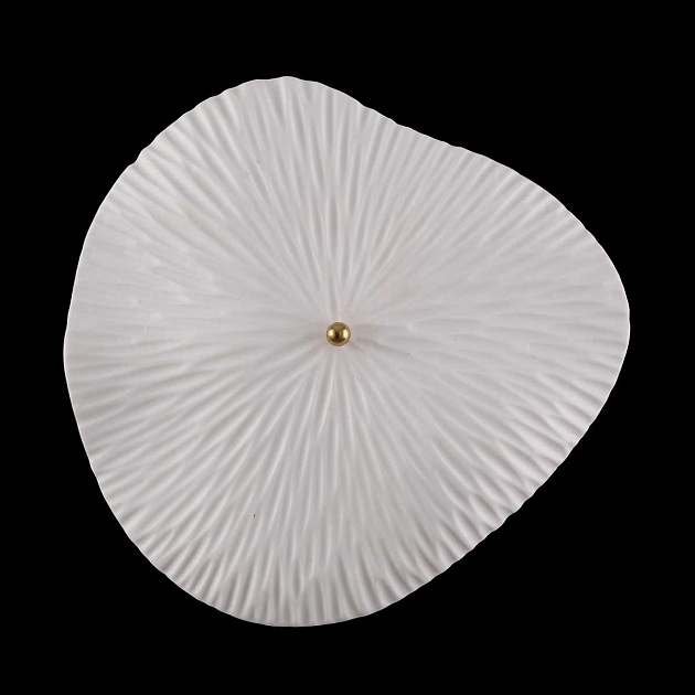 Настенный светильник Crystal Lux CONTESSA AP2.2 Фото № 4