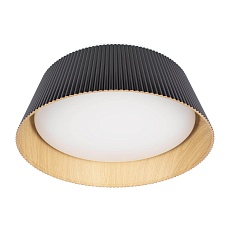 Потолочный светодиодный светильник Loft IT Evans 10224 Black 1