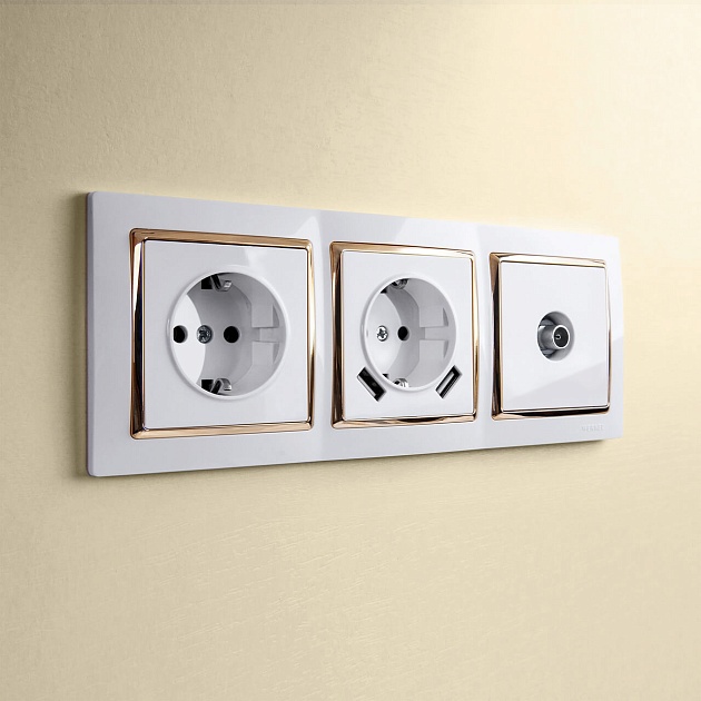 ТВ-розетка оконечная Werkel белый W1183001 4690389155390 изображение 4 ТВ-розетка оконечная Werkel белый W1183001 4690389155390 Фото № 4