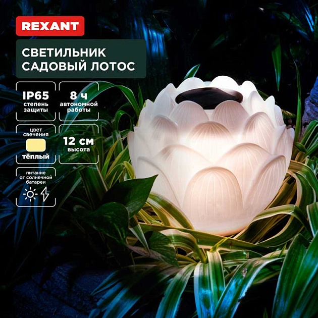 Ландшафтный светильник REXANT 602-2431 изображение 1 Ландшафтный светильник REXANT 602-2431 Фото № 1