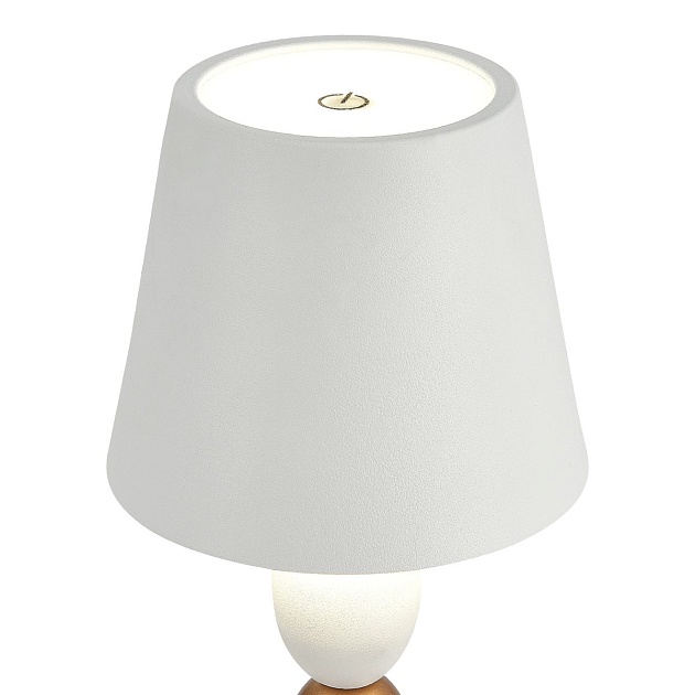 Настольная лампа ST Luce Ease SL1011.514.01 изображение 3 Настольная лампа ST Luce Ease SL1011.514.01 Фото № 3