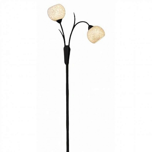 Торшер Lussole Bagheria LSF-6295-02 Фото № 1