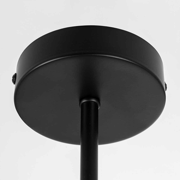 Потолочная люстра Citilux Fisher CL218163 Фото № 4