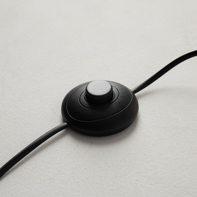 Торшер Maytoni MOD427FL-L20B3K изображение 3 Торшер Maytoni MOD427FL-L20B3K Фото № 3