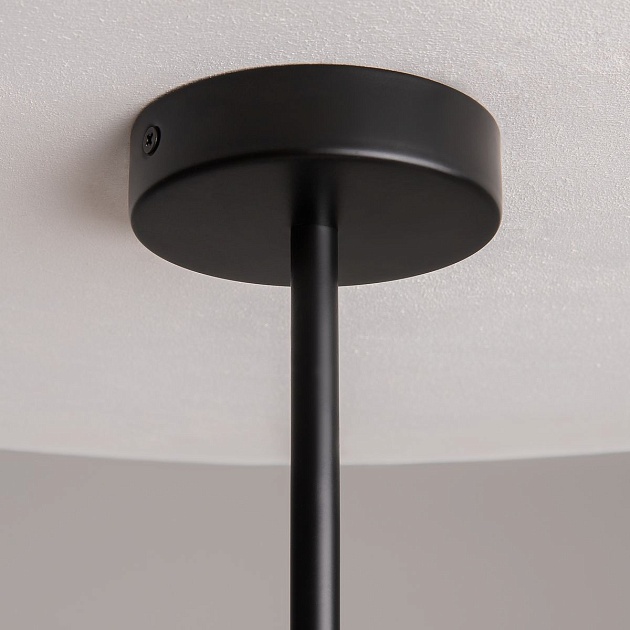 Подвесная люстра Maytoni Organic MOD225PL-04B Фото № 3