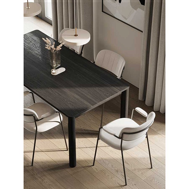 Кухонный стул Bergenson Bjorn Eirill FH-ERL-ARMCH-PL-TP Фото № 13