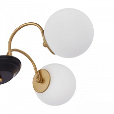 Подвесная люстра Arte Milano Napoli 312066/D700/5 BS/BK 2