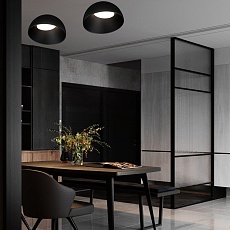 Потолочный светильник Loft it Egg 10197/500 BB 1