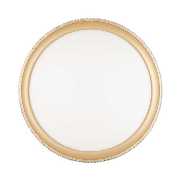 Настенно-потолочный светодиодный светильник Sonex Pale Shiny 3054/DL Фото № 2