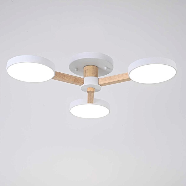 Потолочная люстра Imperium Loft Turna 102157-26 Фото № 10