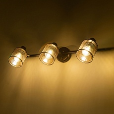 Спот Citilux Робин CL535635 5