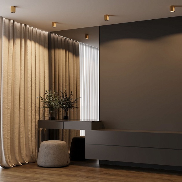 Потолочный светодиодный светильник Elektrostandard Primo 25116/LED a069413 Фото № 4